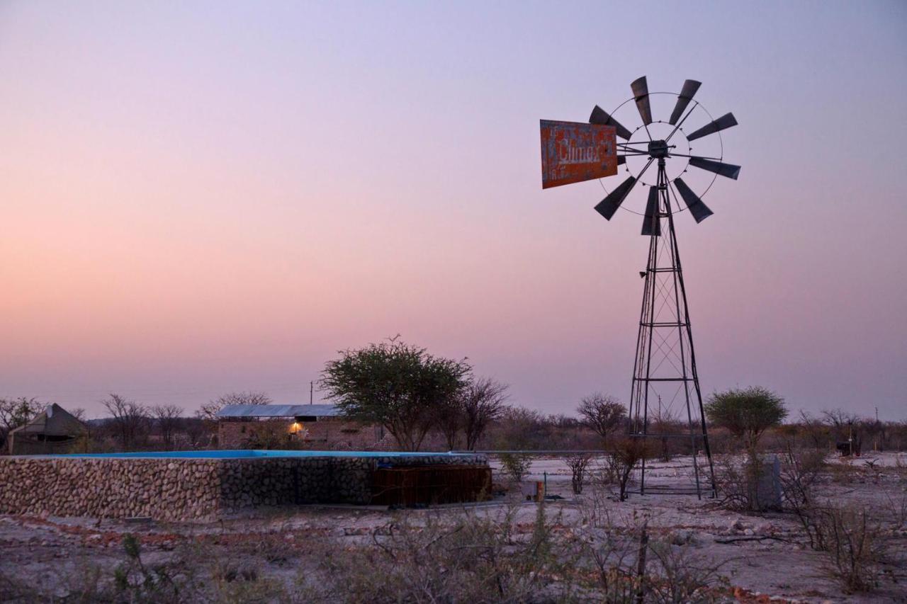 Etosha Trading Post Campsite Okaukuejo Εξωτερικό φωτογραφία